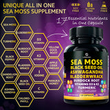 LetaGreen Sea Moss Capsules side view showing dosage