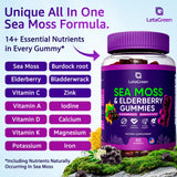 LetaGreen Sea Moss Gummies side view showing gummy texture