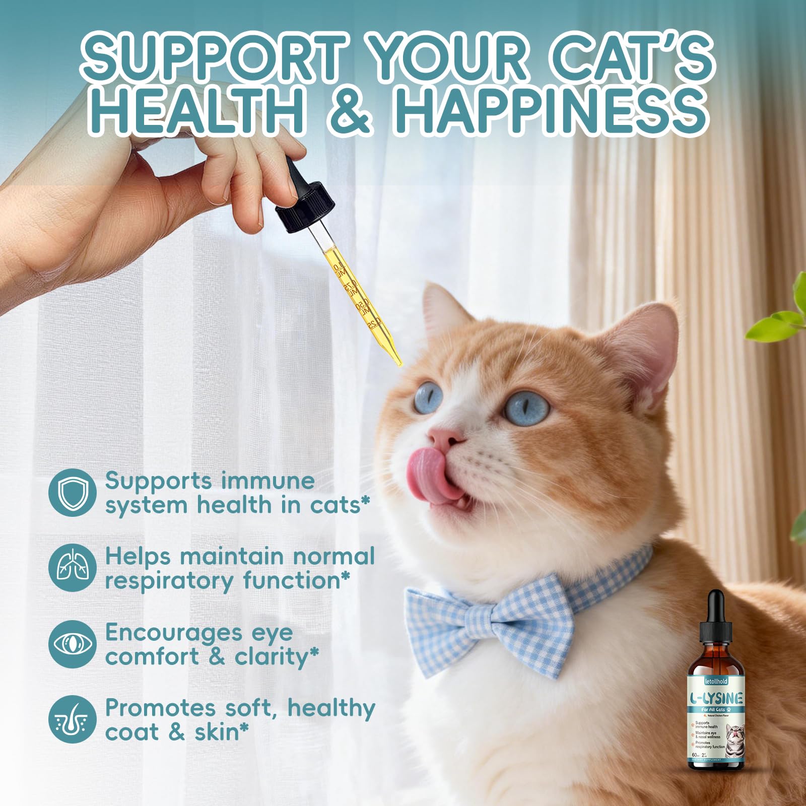letollhold L-Lysine Liquid Drops for Cats 60mL in a pet feeding setting