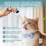 letollhold L-Lysine Liquid Drops for Cats 60mL in a pet feeding setting