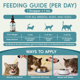 letollhold L-Lysine Liquid Drops for Cats 60mL with measuring dropper