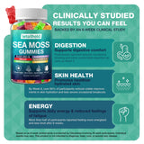 letollhold Organic Sea Moss Gummies displayed with fresh ingredients
