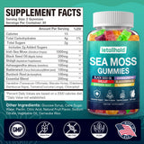 letollhold Organic Sea Moss Gummies with a measuring spoon