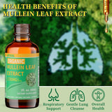 LETSCOL Organic Mullein Drops 1700MG packaging