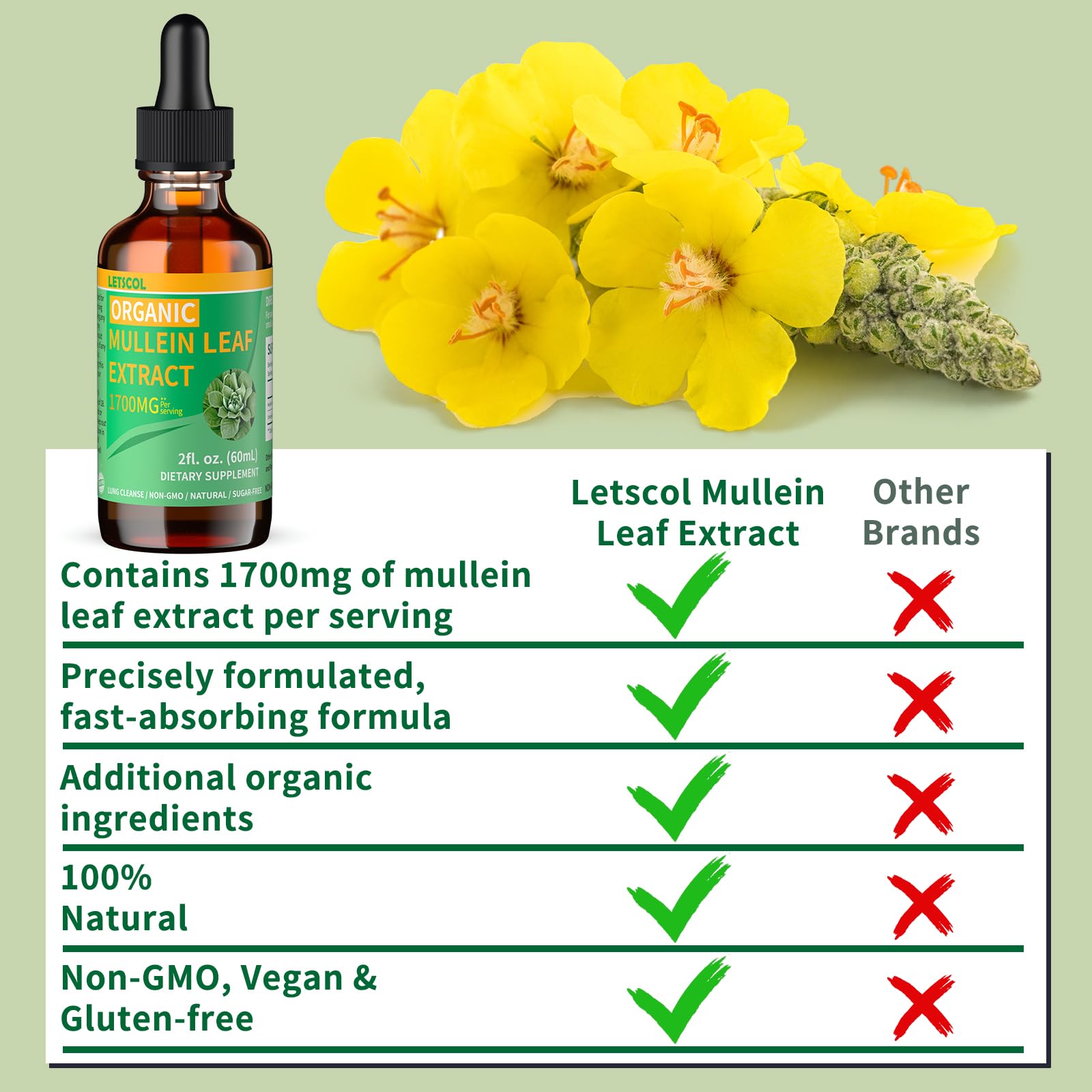 LETSCOL Organic Mullein Drops 1700MG with water
