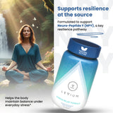 Levium Blended Vitamin & Mineral Supplement ingredients list