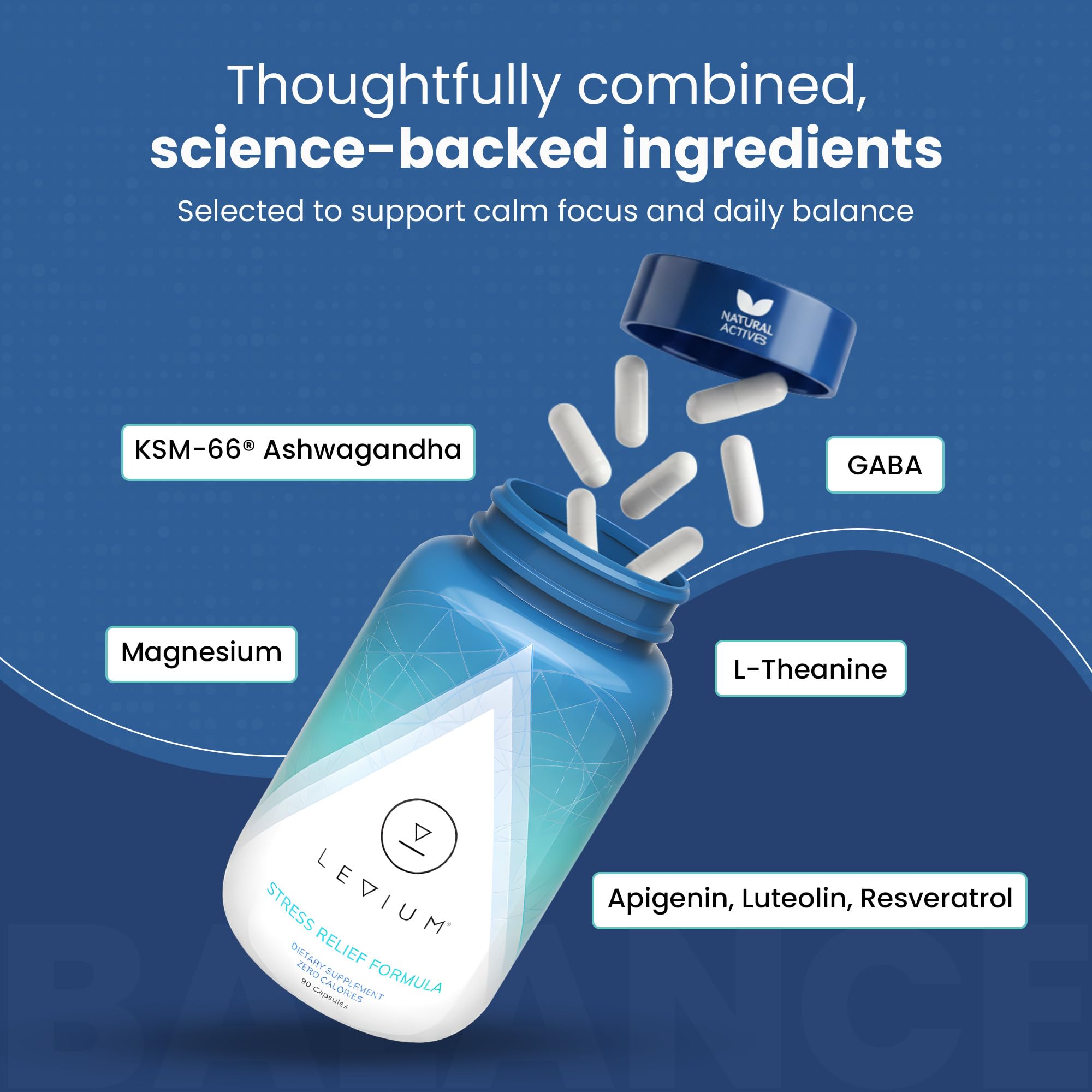 Levium Blended Vitamin & Mineral Supplement packaging