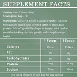 Lexenic Halal Collagen Protein Powder displayed with coffee