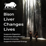 LGS Supplements Liver Extracts back view with ingredient list