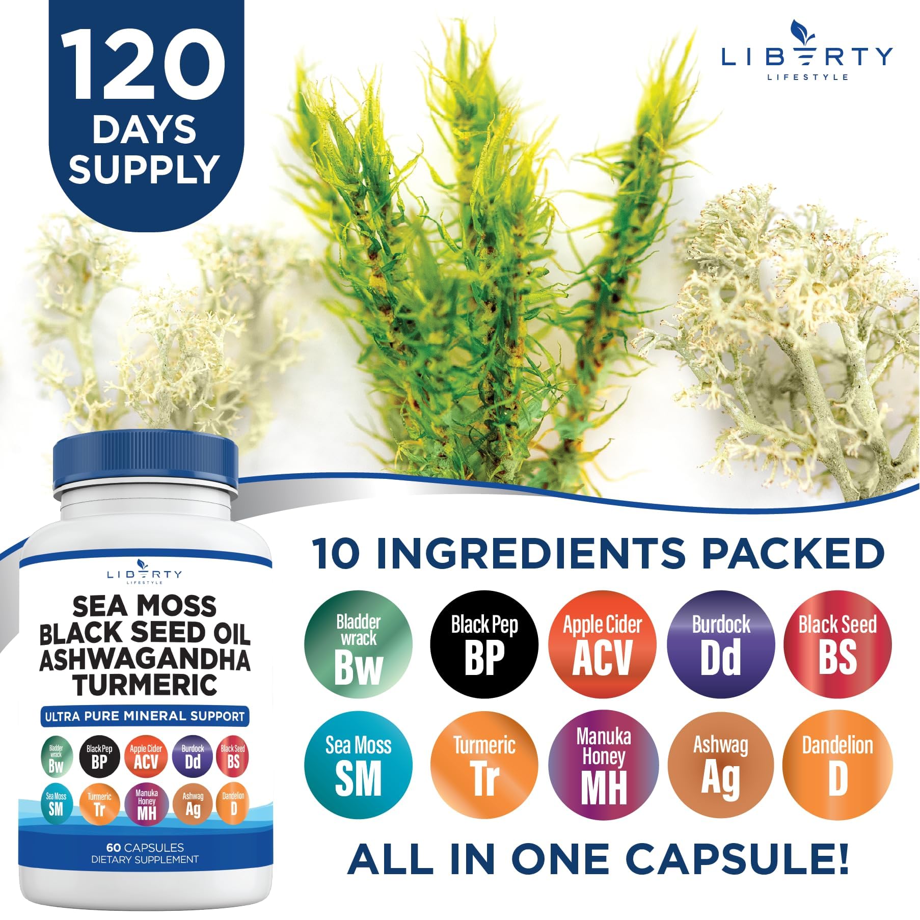 Liberty Lifestyle Sea Moss & Black Seed Oil Capsules lifestyle scene
