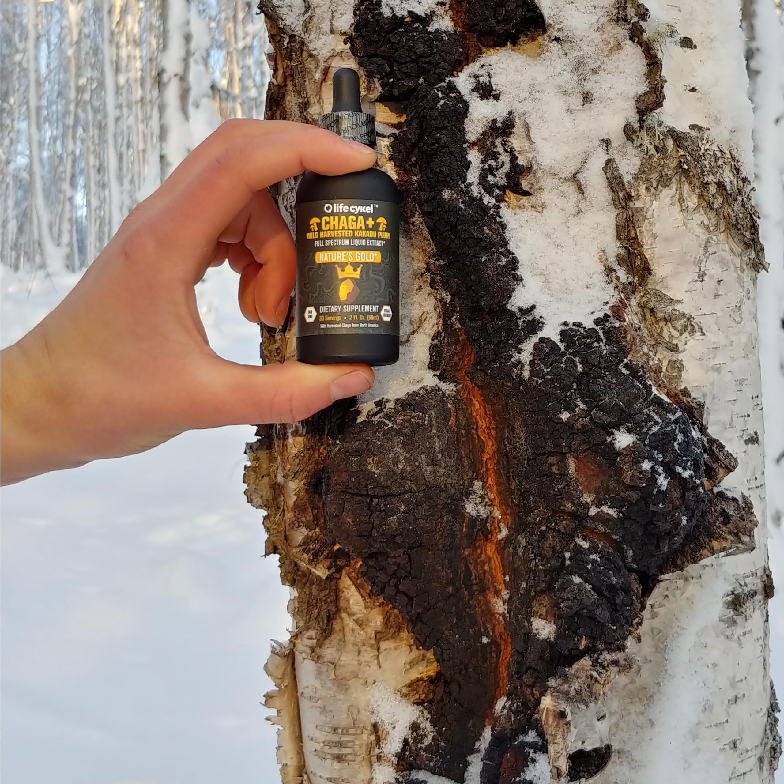 Life Cykel Chaga Liquid Extract 132g with dropper
