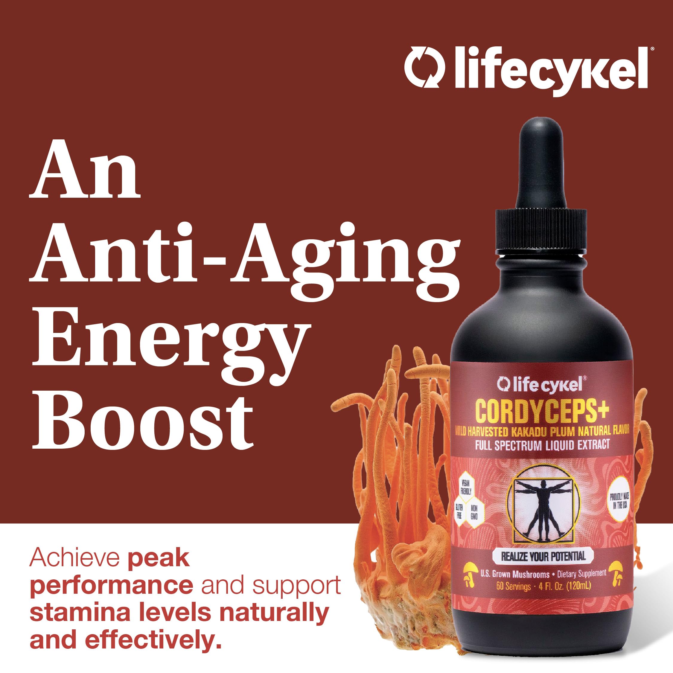 Life Cykel Cordyceps Mushroom Extract 50ml with fresh mushrooms