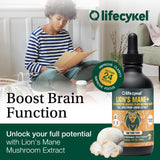 Life Cykel Lion's Mane Mushroom Drops 50ml packaging