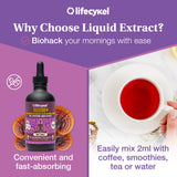 Life Cykel Reishi Mushroom Tincture packaging with ingredients