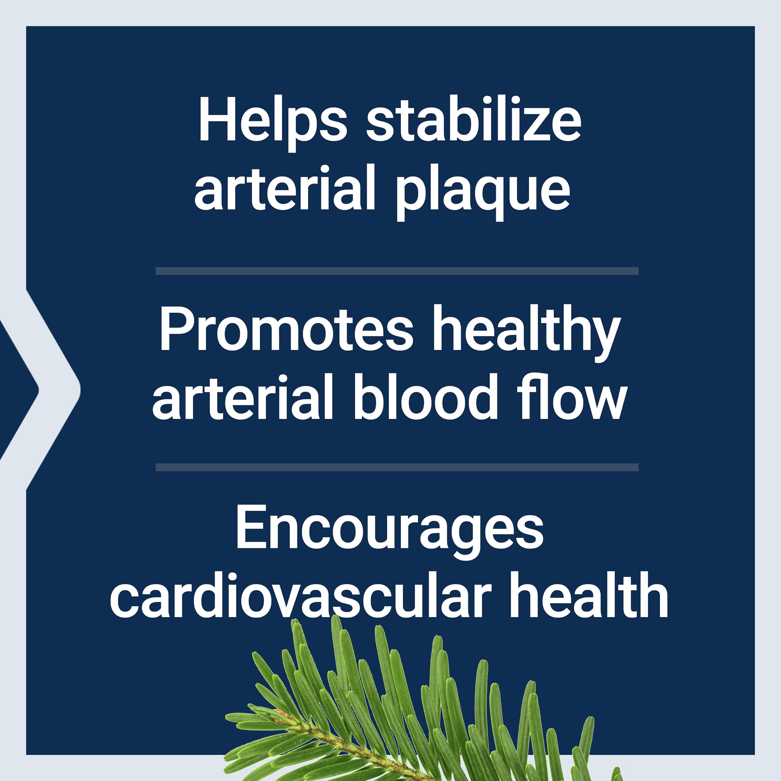 Life Extension Arterial Protect capsules on a wooden surface