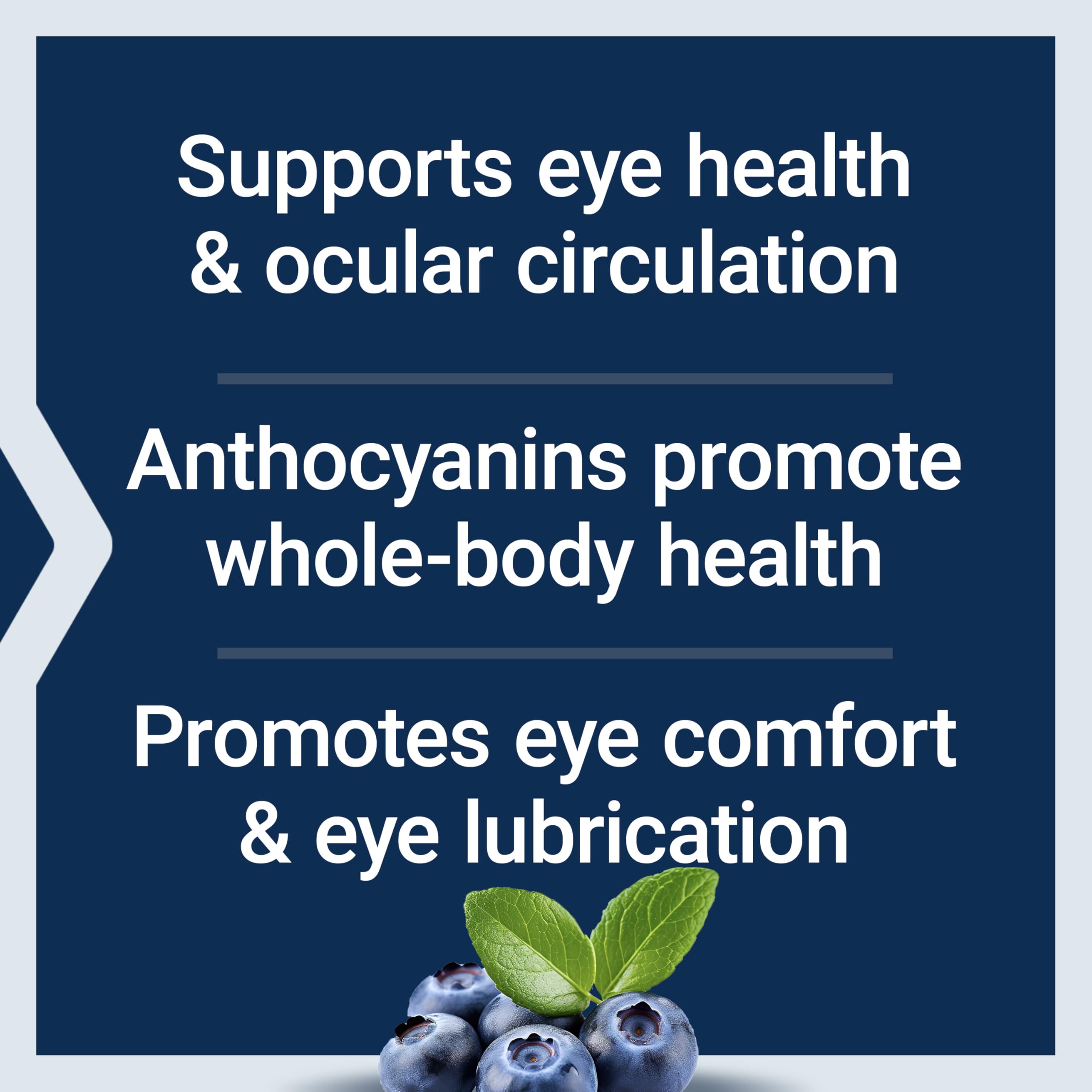 Life Extension Bilberry Extract 90 capsules in packaging