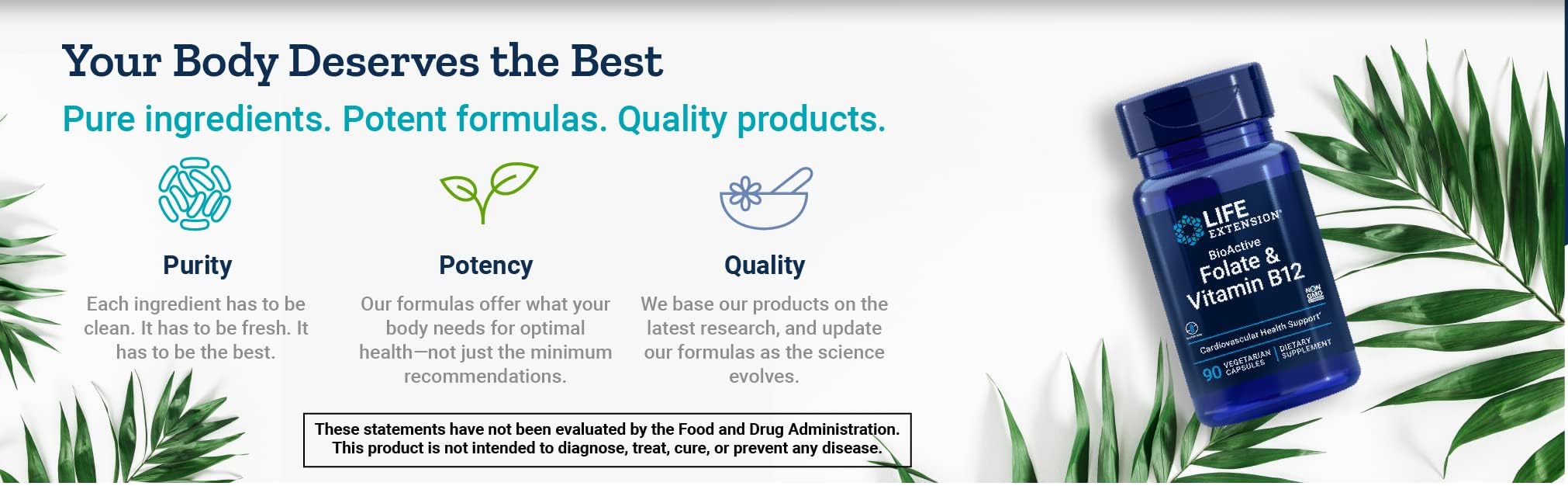 Life Extension BioActive Folate & Vitamin B12 Capsules in a kitchen setting