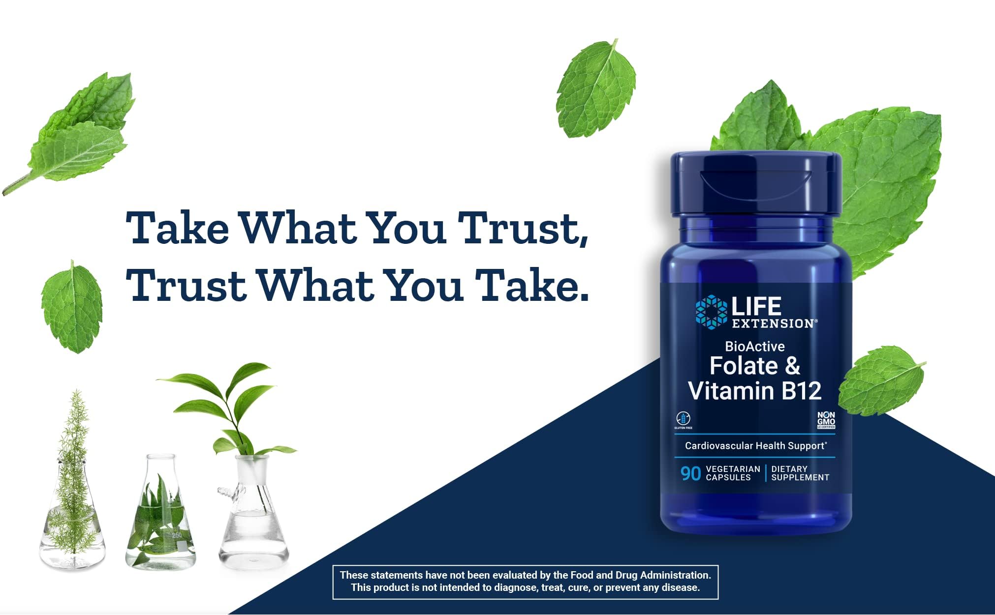 Life Extension BioActive Folate & Vitamin B12 Capsules showing ingredients list