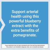 Life Extension Blueberry Extract and Pomegranate on a wooden table
