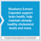 Life Extension Blueberry Extract Capsules 500mg capsules on a table