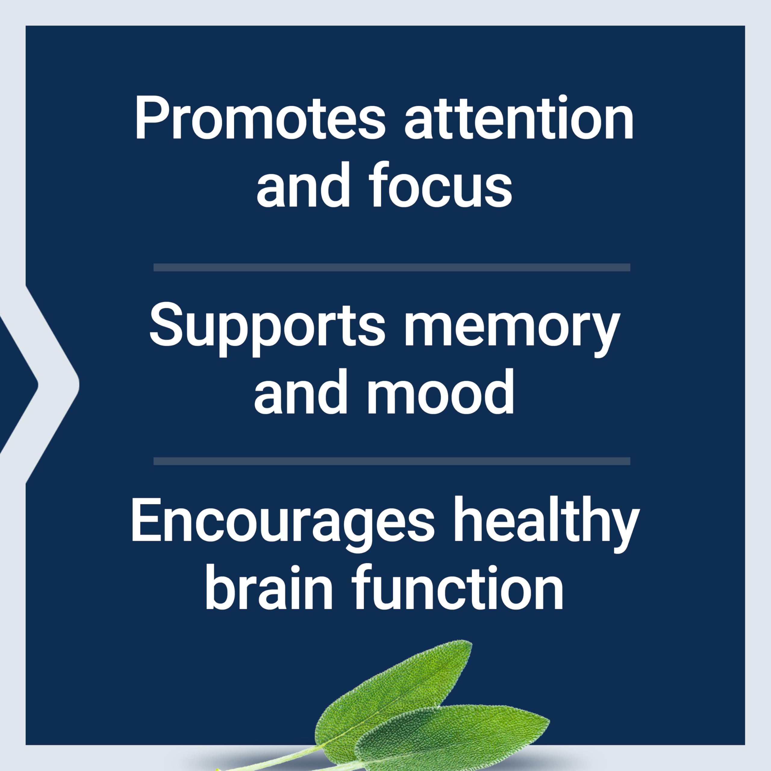 Life Extension Cognitex Elite Pregnenolone ingredients list