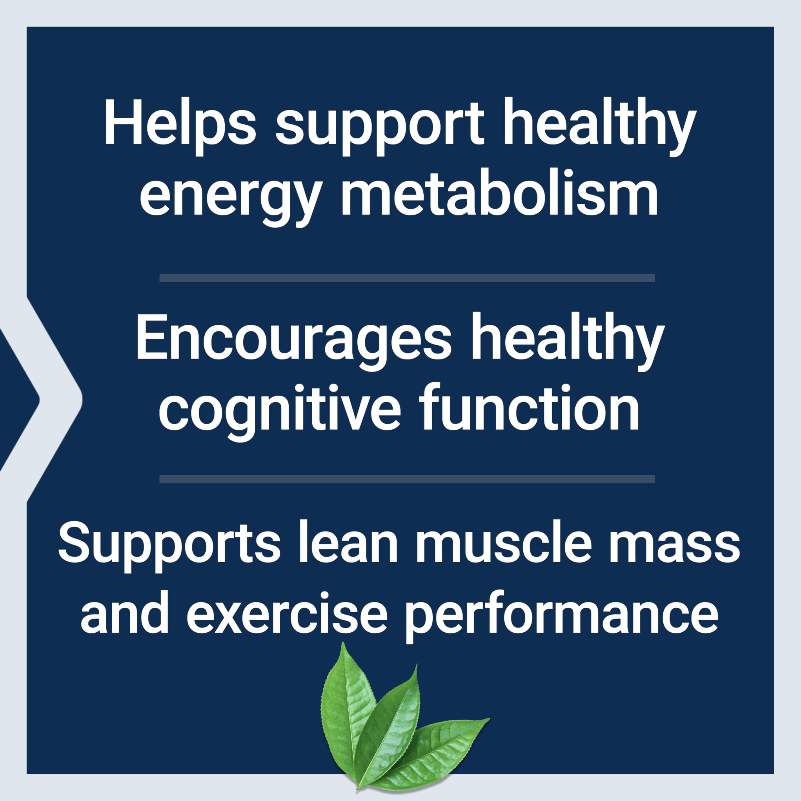 Life Extension Creatine & Acetyl-L-Carnitine Energy Plus side view