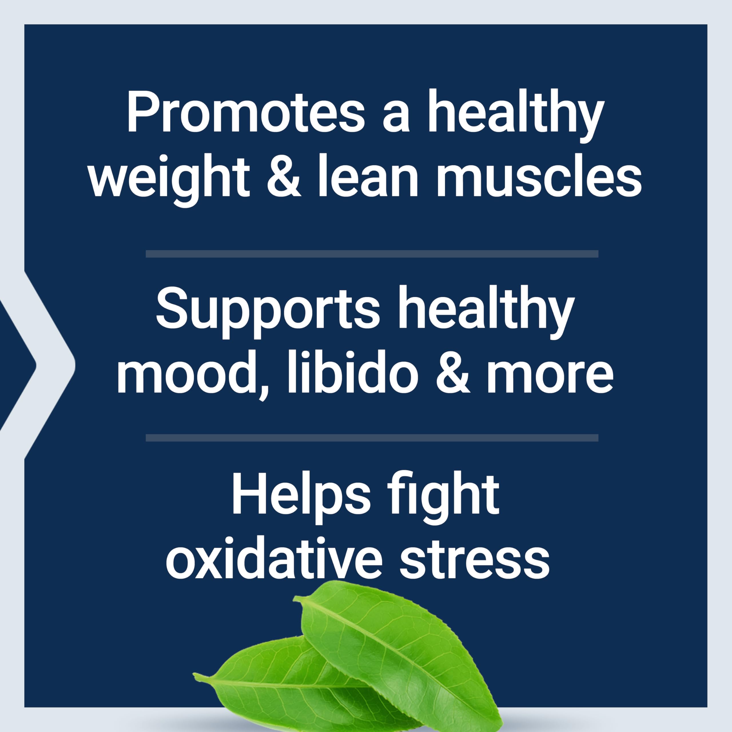 Life Extension DHEA Complete supplement ingredients list
