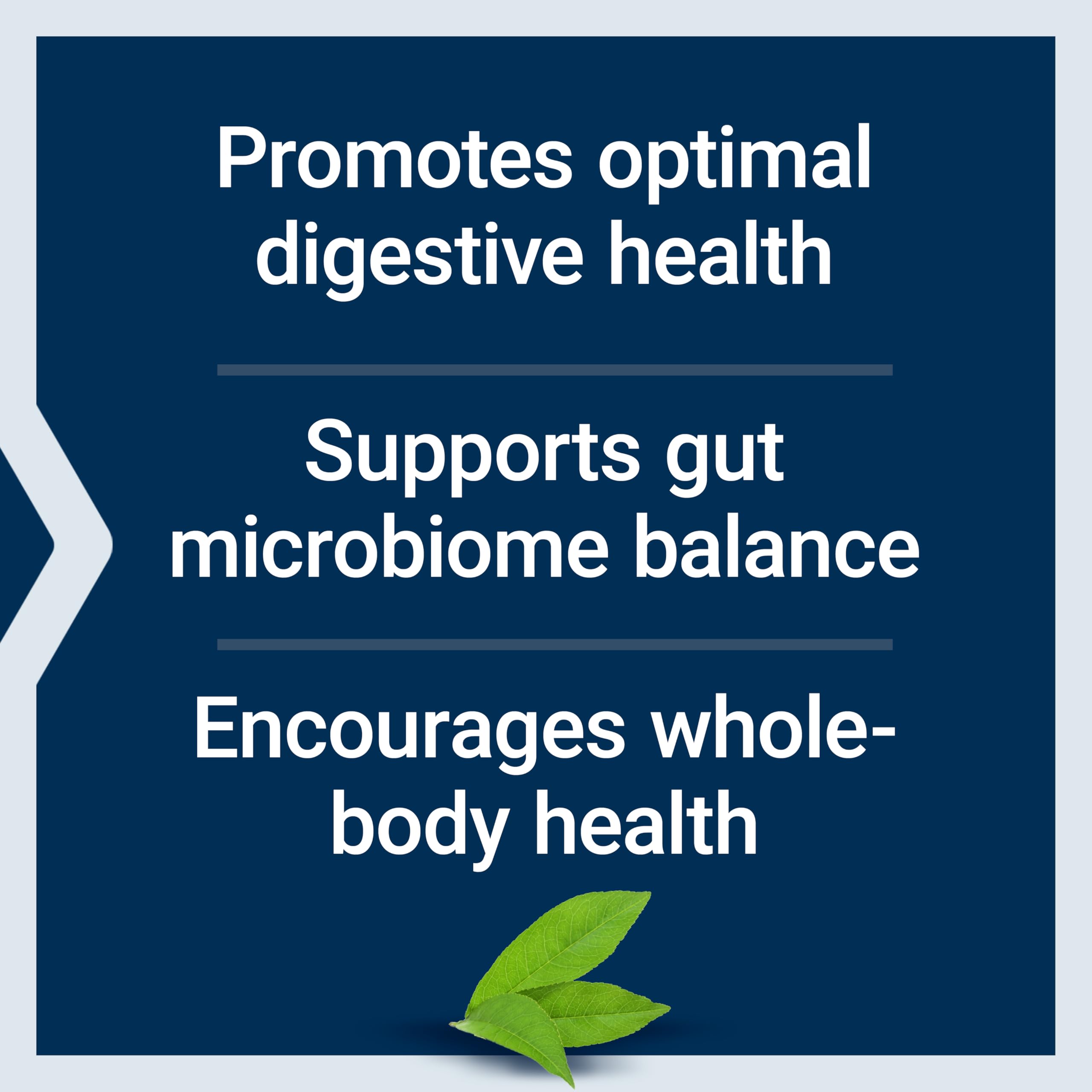 Life Extension FLORASSIST® Probiotic Balance capsules close-up