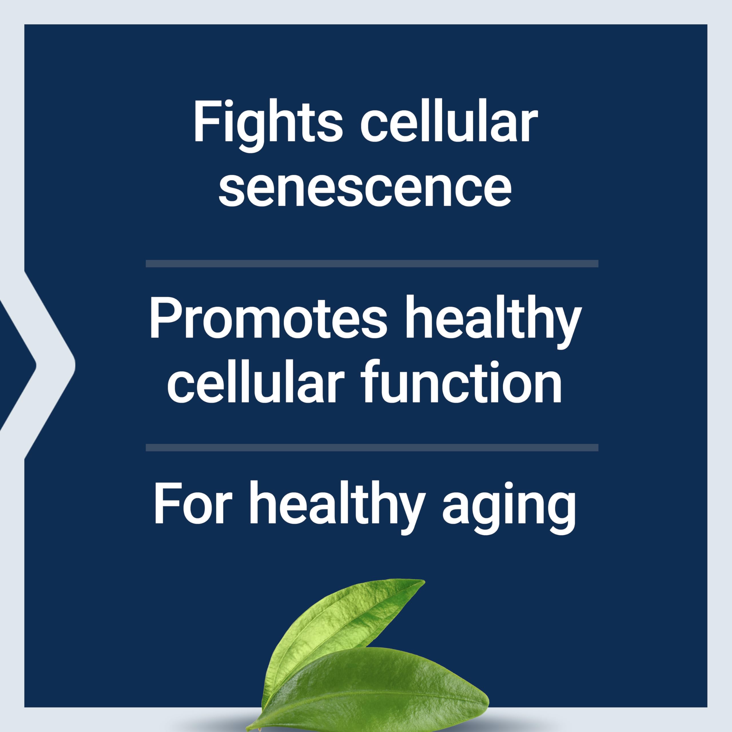 Life Extension GEROPROTECT® Ageless Cell™ ingredients list