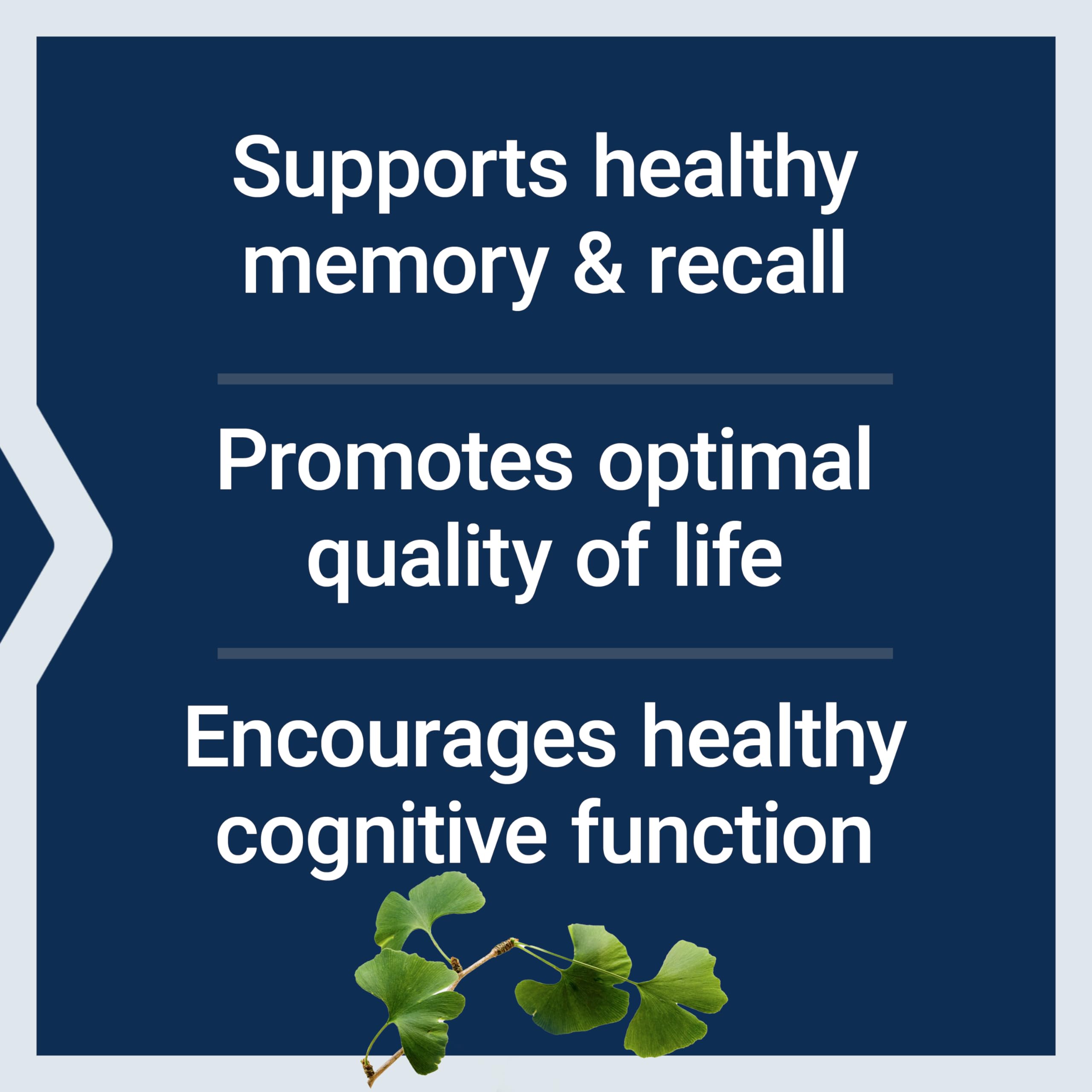 Life Extension Ginkgo Biloba Extract 120mg capsules with packaging