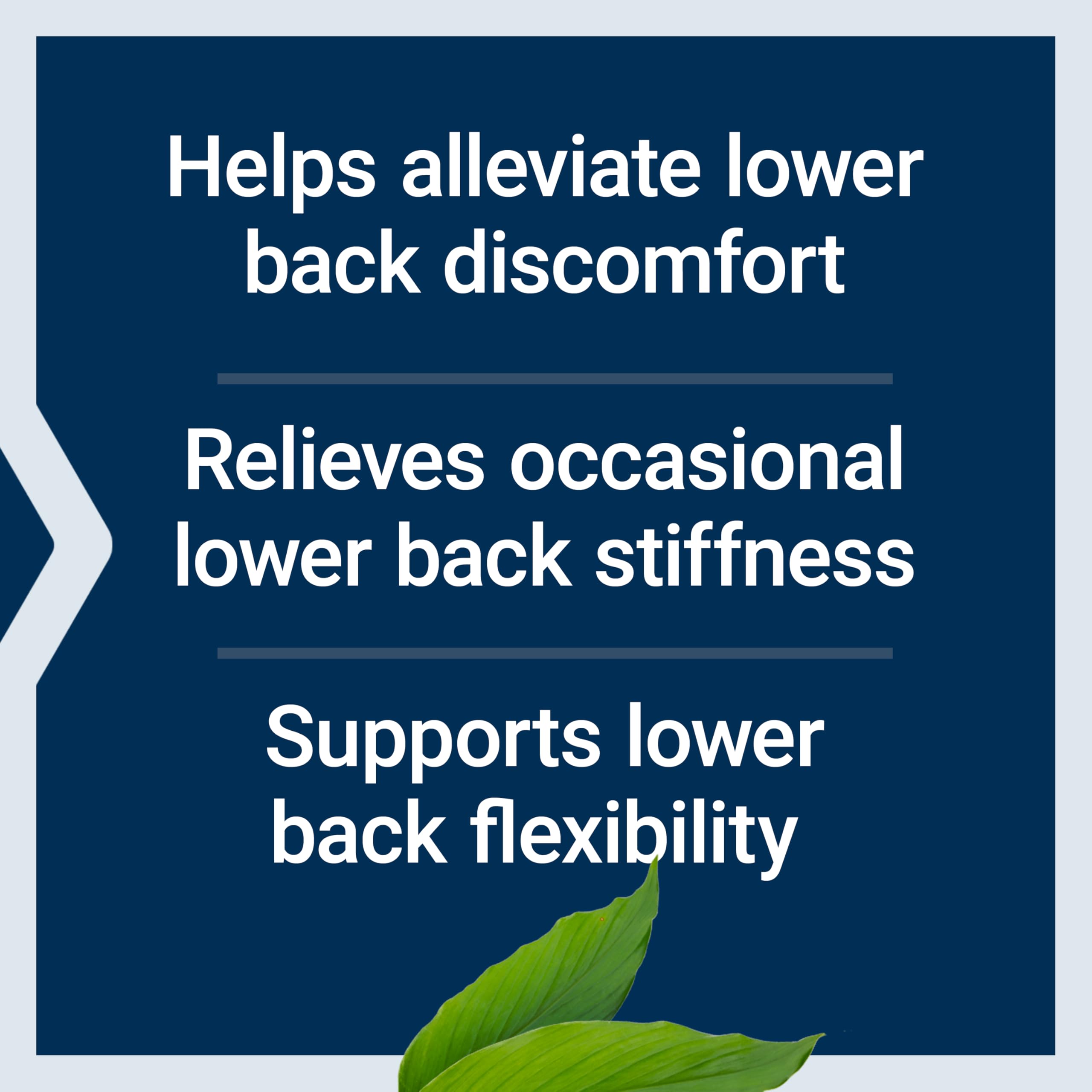 Life Extension Lower Back Relief Supplement ingredients list