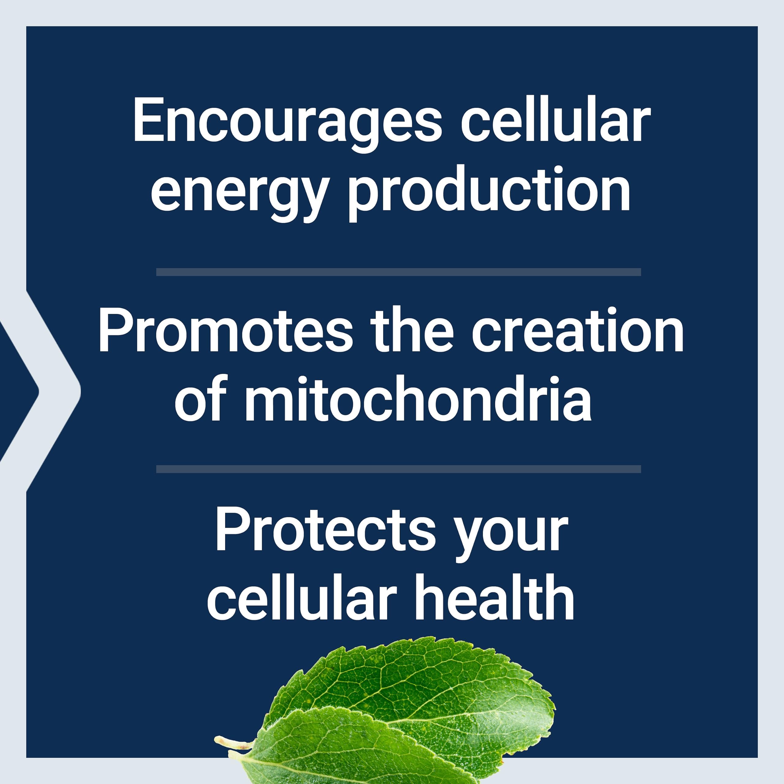 Life Extension Mitochondrial Energy Optimizer with PQQ bottle with capsules