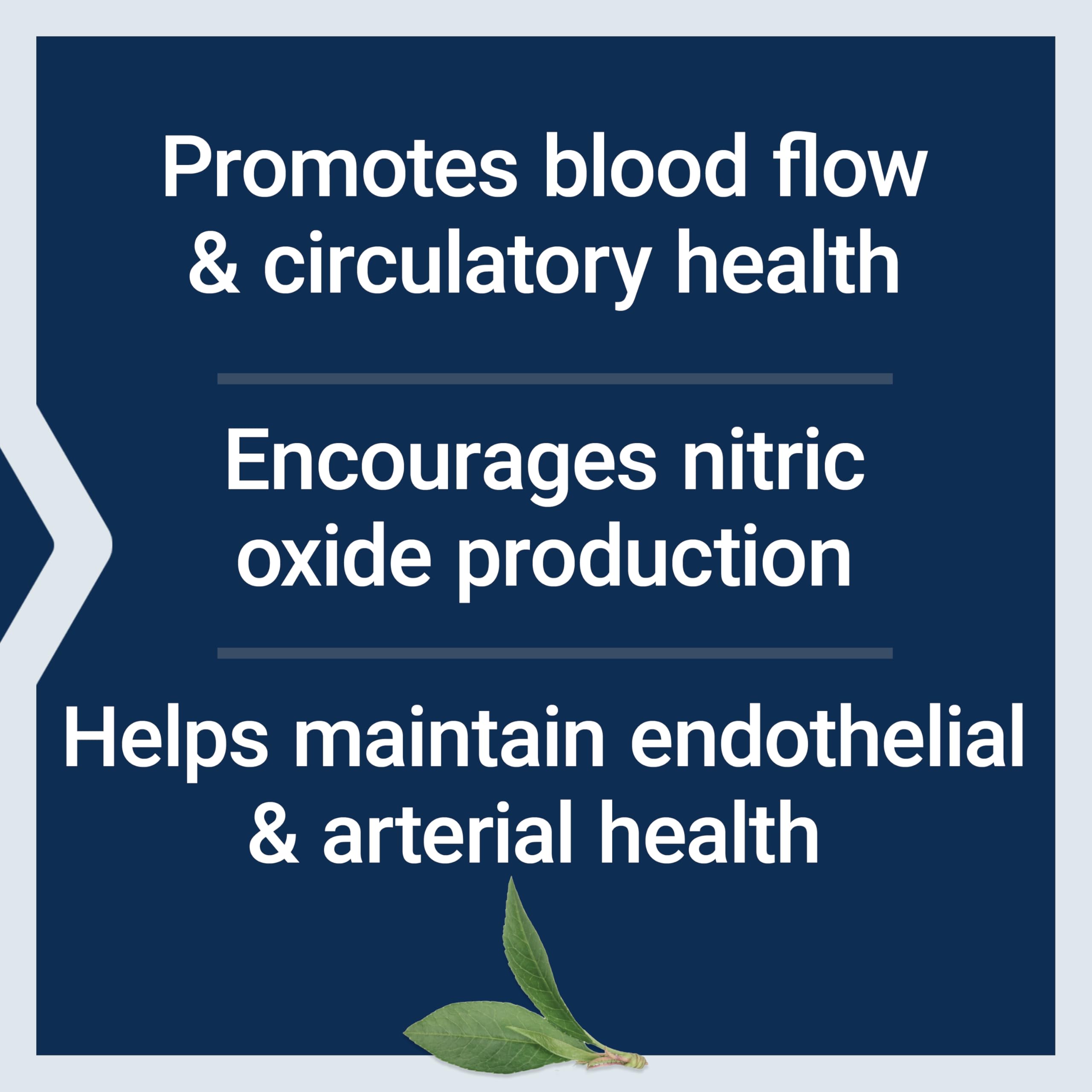Life Extension NitroVasc™ L-Arginine supplement back view