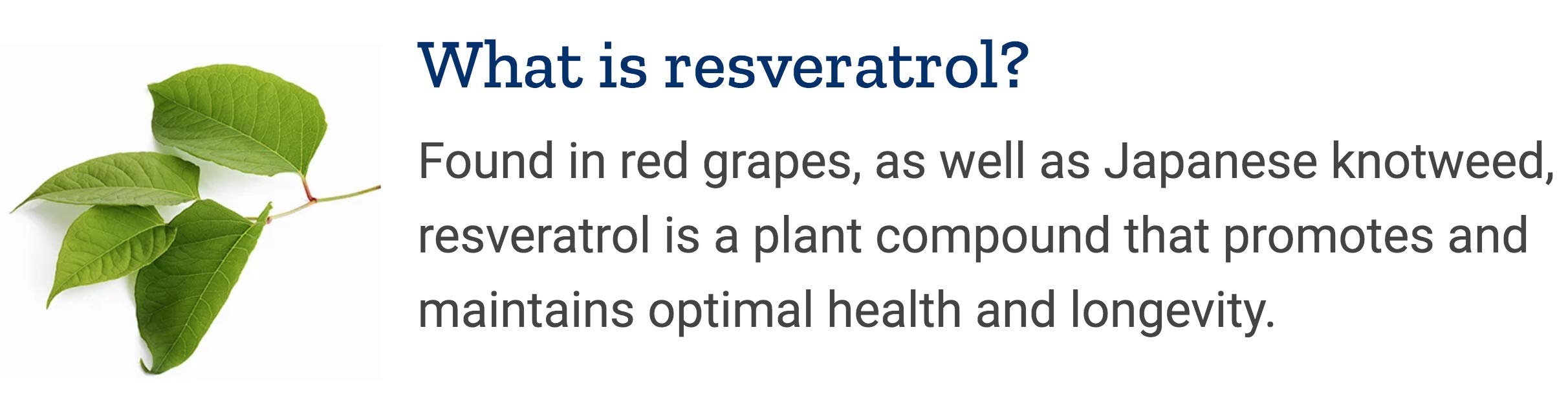Life Extension Optimized Resveratrol ingredients list on the packaging