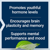 Life Extension Pregnenolone Supplement 100 mg capsule close-up
