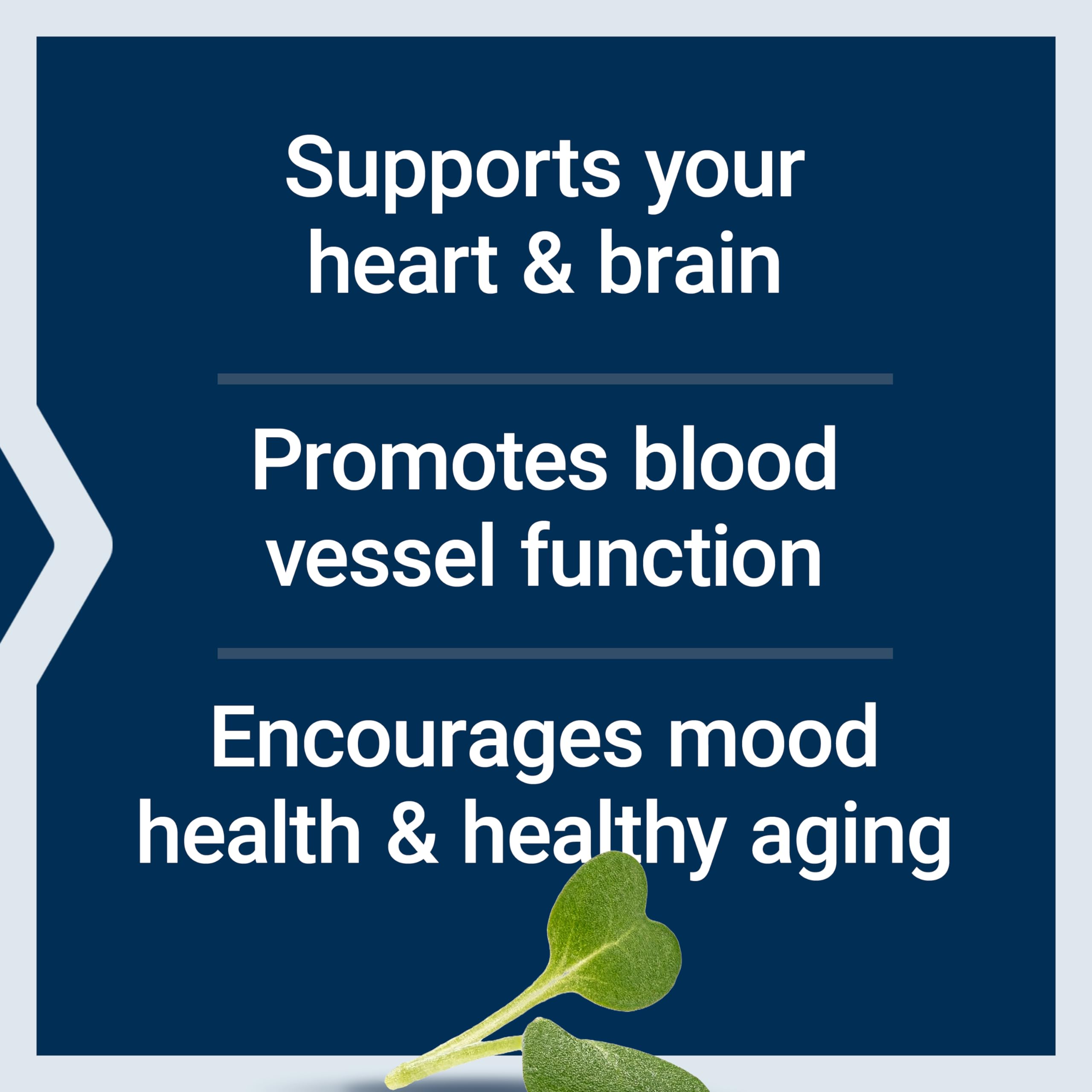 Life Extension Super Omega-3 Fish Oil 2000mg label close-up