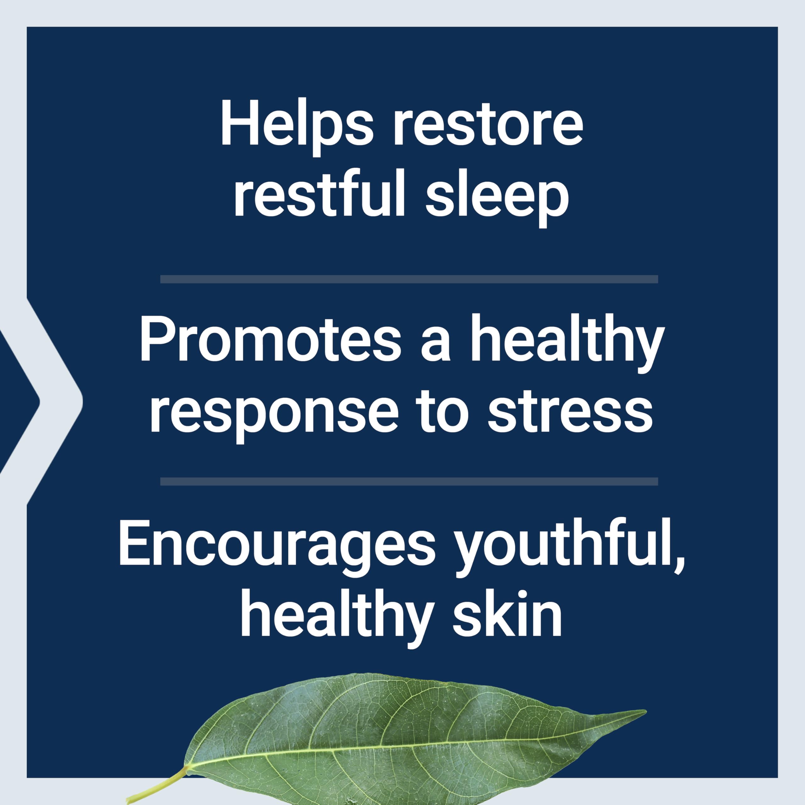 Life Extension support Sleep Without Melatonin 30 Capsules packaging