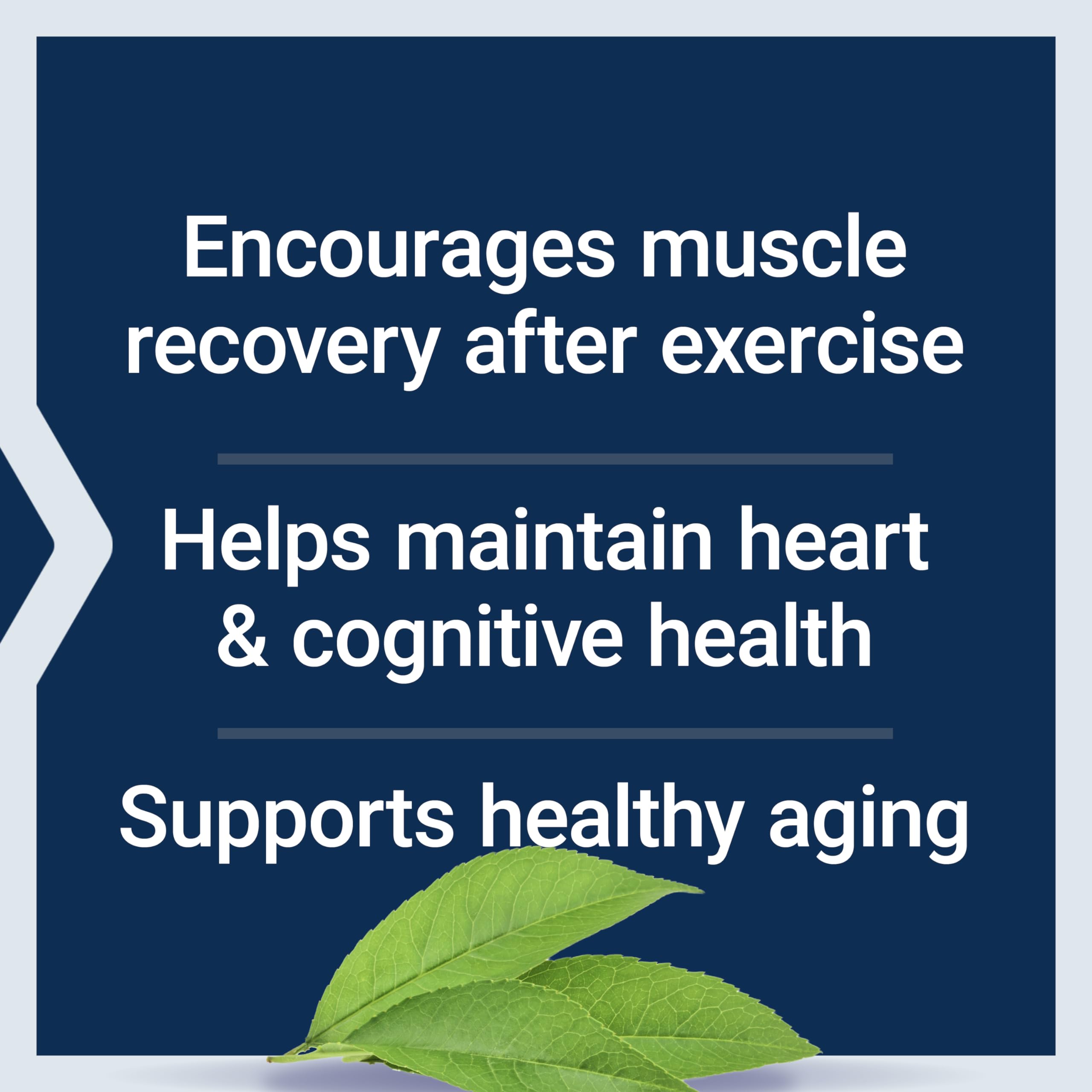 Life Extension Taurine Supplement 750mg powder scoop
