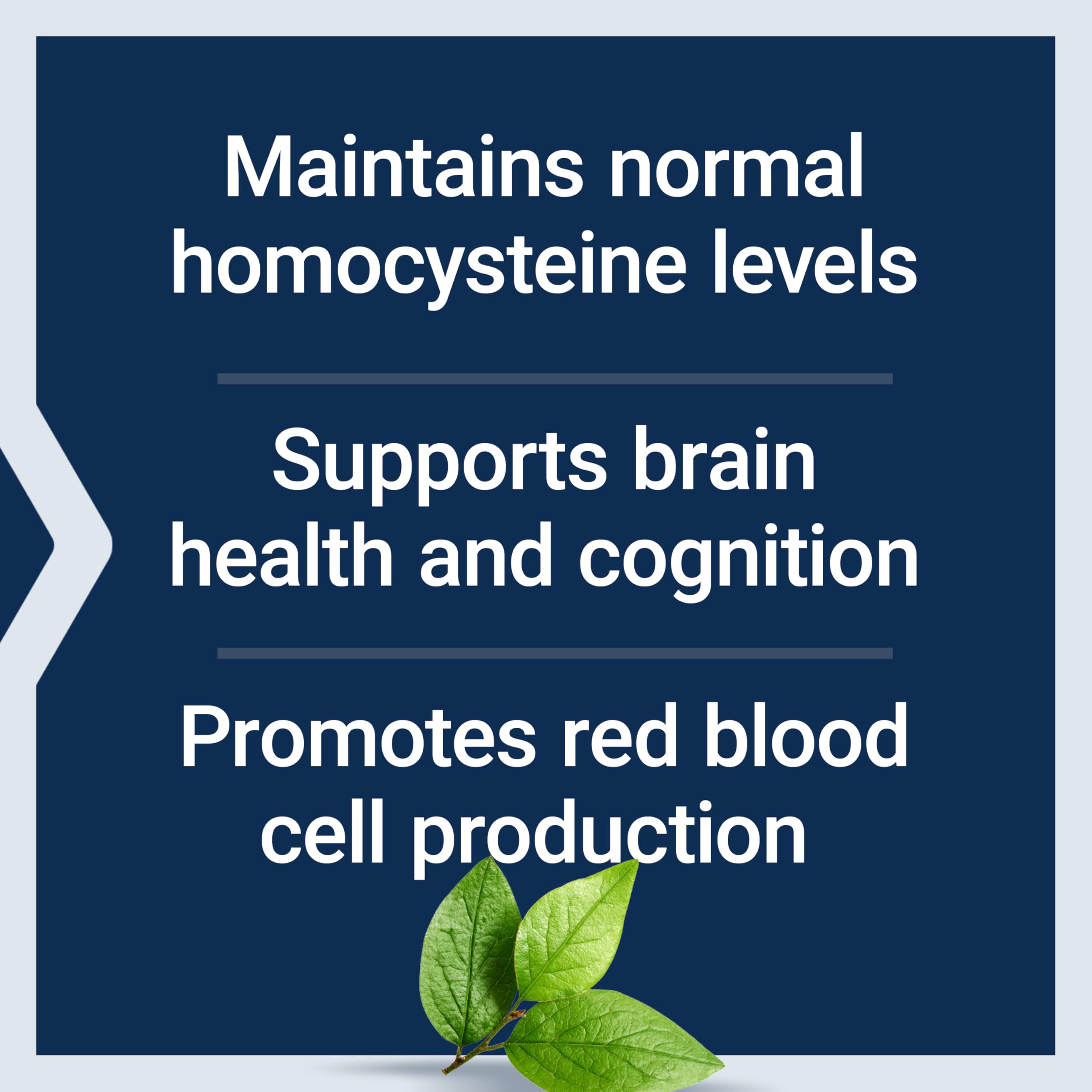 Life Extension Vitamin B12 Methylcobalamin lozenges with dosage information