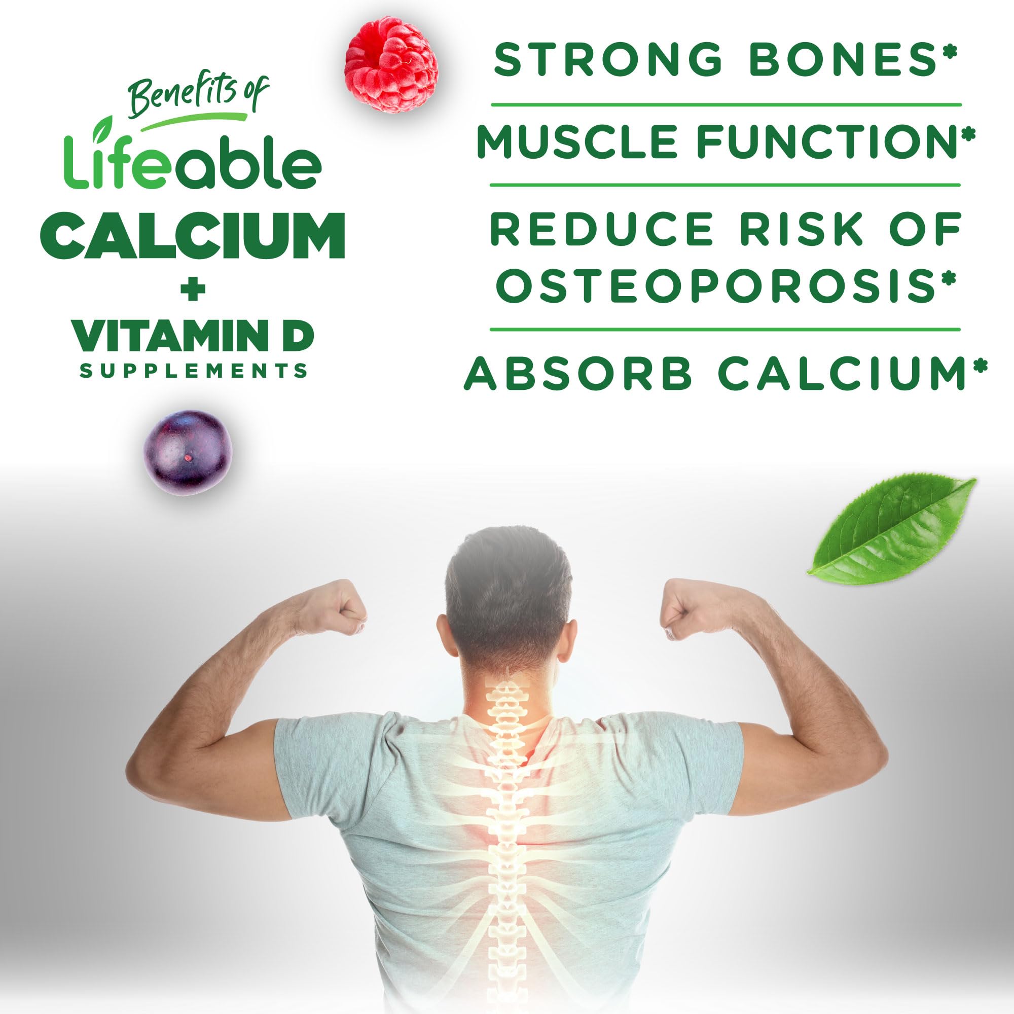 Lifeable Calcium D3 Gummies 500mg serving size of 2 gummies