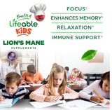 Lifeable Lion's Mane Gummies showing berry flavour gummies