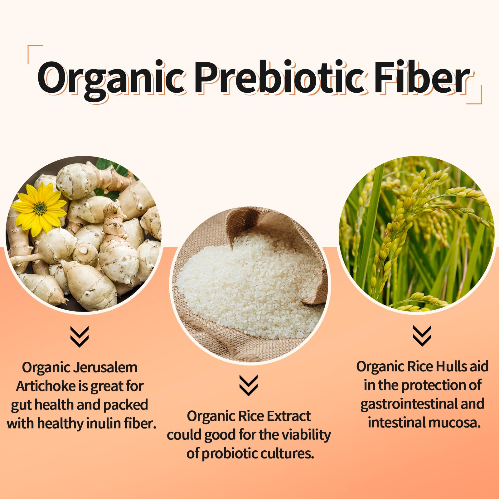 Lifeatlas Probiotics 300 Billion CFU supplement ingredients list