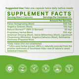 LifeBay Dong Quai Herbal Supplement lifestyle scene