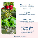 LifeSeasons B/P Stabili-T supplement packaging side view