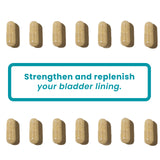 LifeSeasons Bladder Support Supplement on a kitchen counter