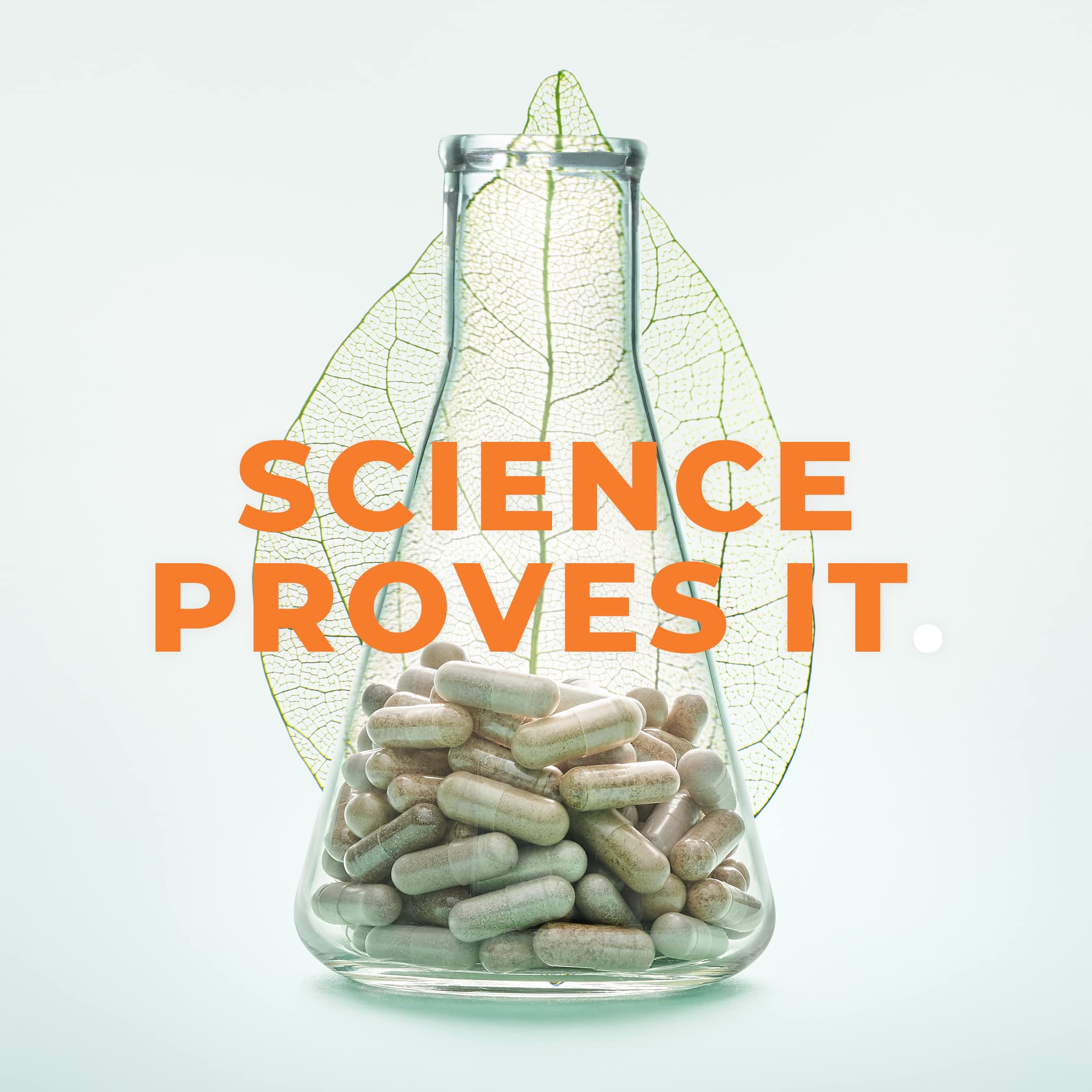 LifeSeasons Bone Densi-T Calcium Supplement ingredients list