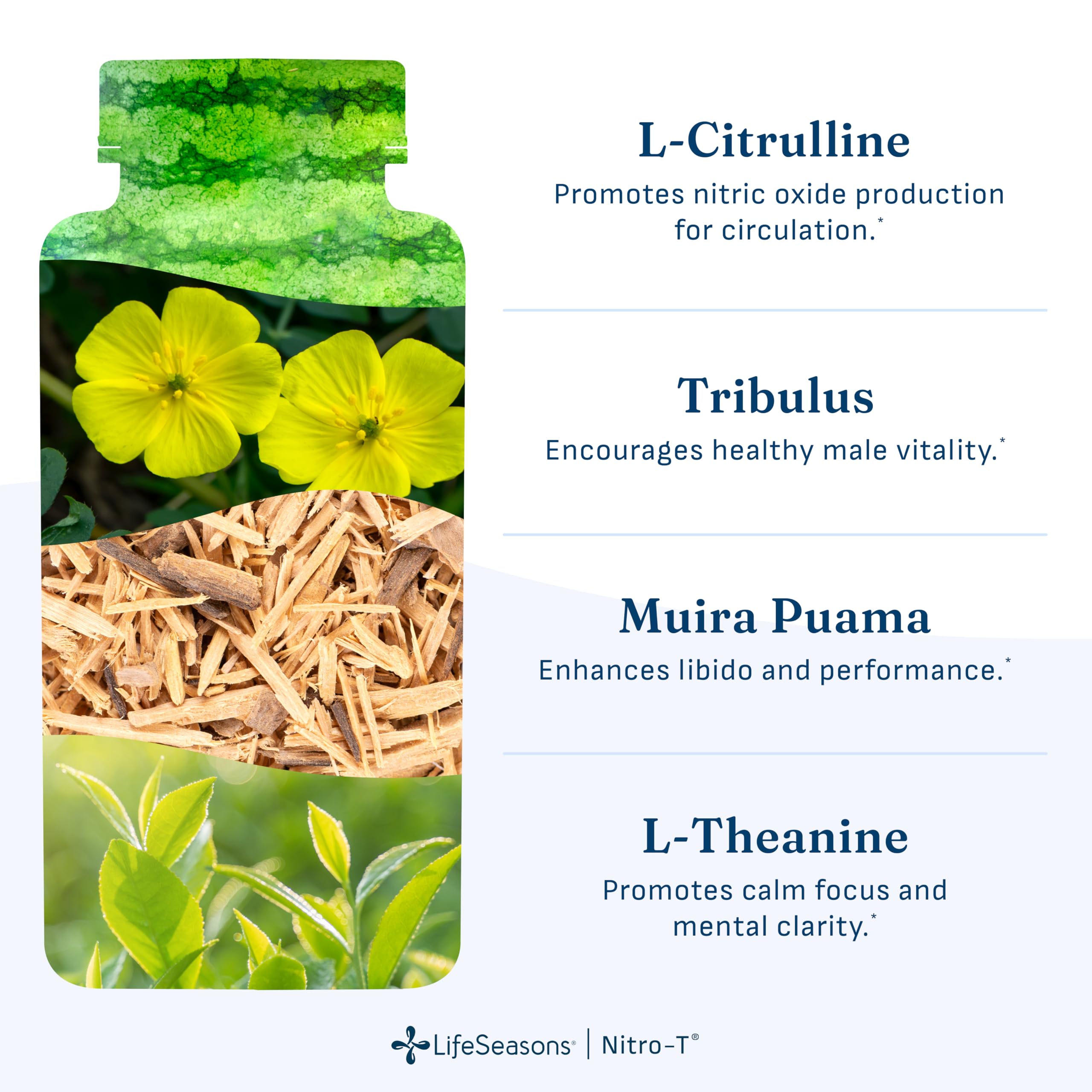 LifeSeasons Nitro-T Men’s Performance Support supplement ingredients list