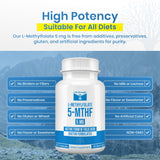 LifeStrength Methylfolate 15mg Dietary Supplement ingredients list