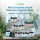 Lifestyle image of ForestLeaf Collagen Powder in smoothie