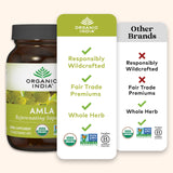 Lifestyle image of ORGANIC INDIA Amalaki Capsules with fresh herbs